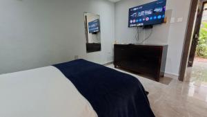 Studio Suite 11