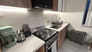 Modern Penthouse in Prime Downtown Location