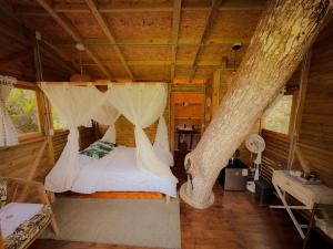 Casa del Árbol Colombia