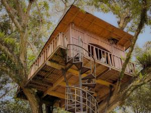 Casa del Árbol Colombia