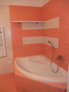 Rodinny apartmán Slnečnica