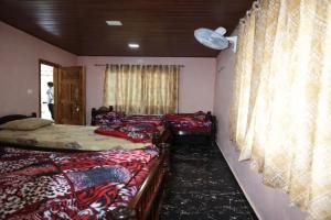 Peak Homestay