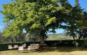 7 Bedroom Lovely Home In Impruneta