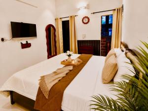 Vasant Retreat - A Calm Elegant South Delhi Home