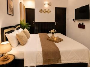 Vasant Retreat - A Calm Elegant South Delhi Home