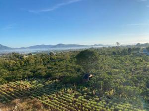 Pleiku Adventures Homestay