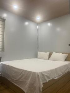 Tree homestay