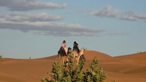 Royal Sahara Dome Camp