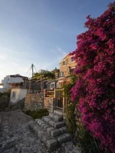 Guest house Zenović