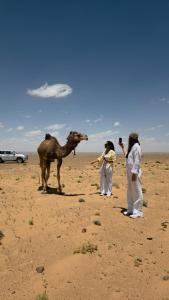Royal Sahara Dome Camp
