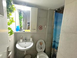 Athens guest house