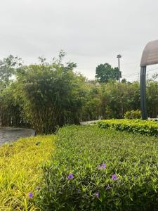 Zhafira Retreat