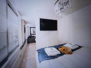 Apartment with AC and balcony