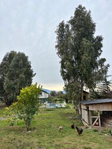 Los Cipreses de Colchagua