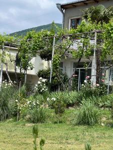 Hotel Villa DavidL