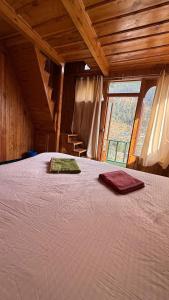 Wooden cottage jibhi