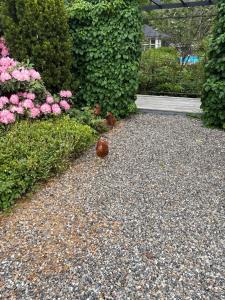Aneks i rolige omgivelser-adgang til pool og sauna