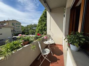 Alle Gardenie