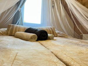 Bükk Apartman Bükkszentkereszt