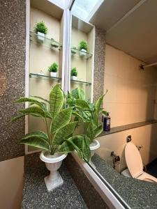 Heaven Retreat-1 BHK Luxury Apartment-10th Floor