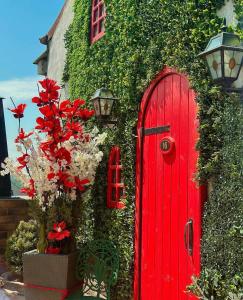Belle Epoque Boutique (Adult Only)