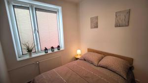 Apartament Hanza Loft
