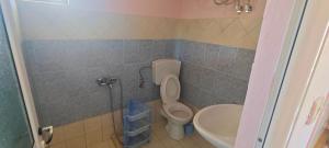 Amalias room