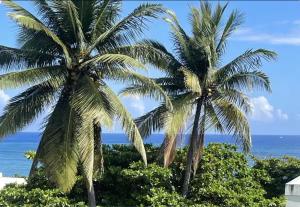 impecable 2 Bedroom Apartment Steps from the Pier