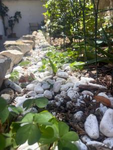 Il Giardino Nascosto