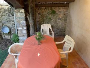 Studio Jardin