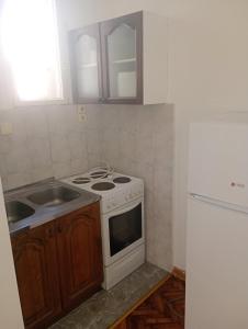 Apartment Vrčar 1