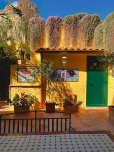 Siwa Home Experience