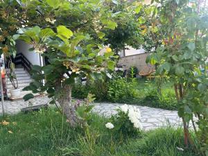 Camping Struga Macedonia