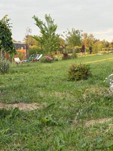 Dolina Królów Czersk glamping pole namiotowe