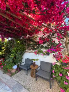 Yannas Apartments