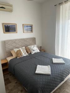 Apartments Fillip