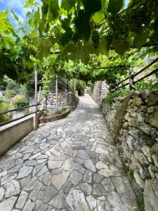 Casa Limone