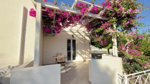 Bodikos Villas & Apartments