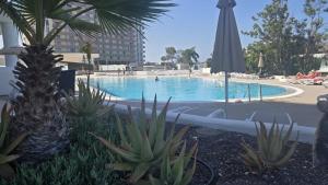 Paradise View Apartment