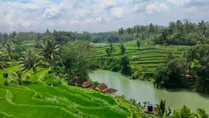 Trip to Desa Wisata Desa Pajangan Kopang Loteng