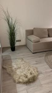 Cozy and Bright Studio Central Naujoji Akmenė