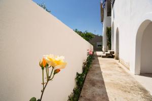 Vasilis Apartments South Corfu