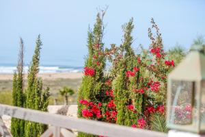 Villa Margarita by Living Essaouira