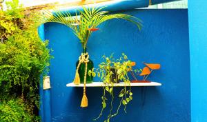 Suites Casa Azul Caiçara, Abraão, Ilha Grande