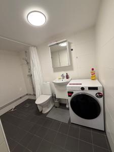 Spacy flat with big garden