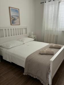 Apartmani Igor