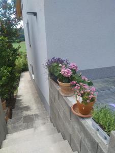 Terrassenwohnung "Rhönblick"