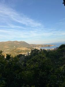Himara Olive House
