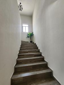 Sergios home