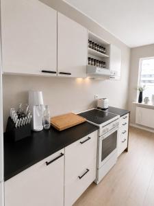 Cozy Apartment in Reykjavík
